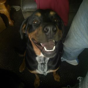 Meet your Posher, Jeff